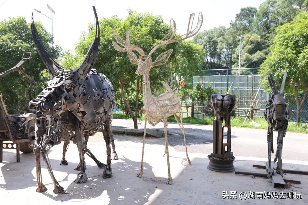 出发!长沙家门口的“非洲遛娃乐园”,小朋友最喜欢的长沙乐园!