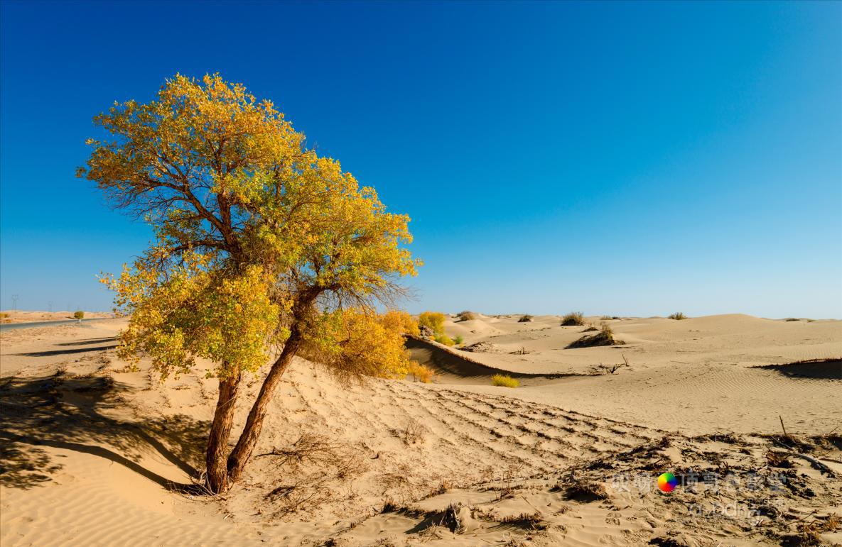 女司机带娃去新疆自驾游,带着女司机自驾游兰州