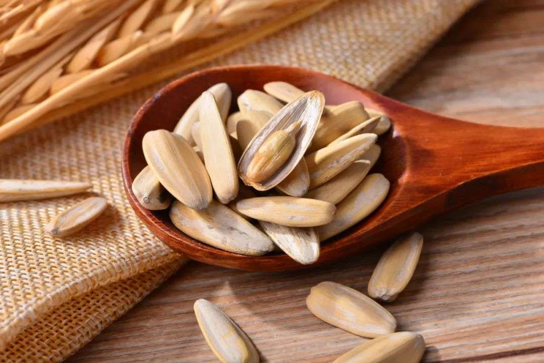 坚果炒货展会洽洽,洽洽焦糖瓜子坚果炒货