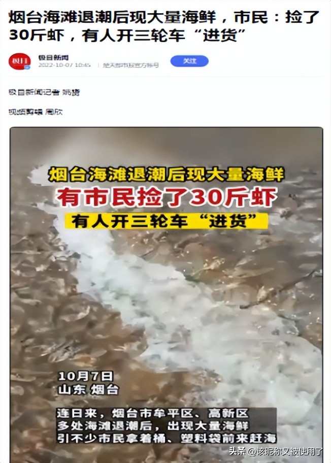 【天福山起义】山东之地理：11.“鲁”字里的鱼是河鱼还是湖鱼？