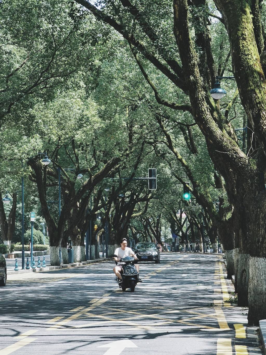 去吹江边的风,麓山南路吹过的风