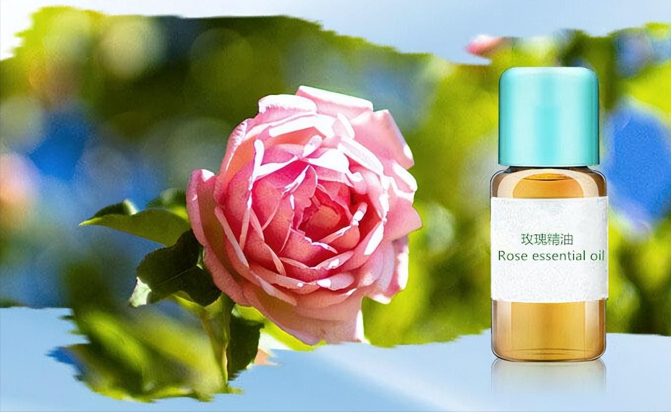 药食同源的玫瑰花有哪些,可食用玫瑰花大全