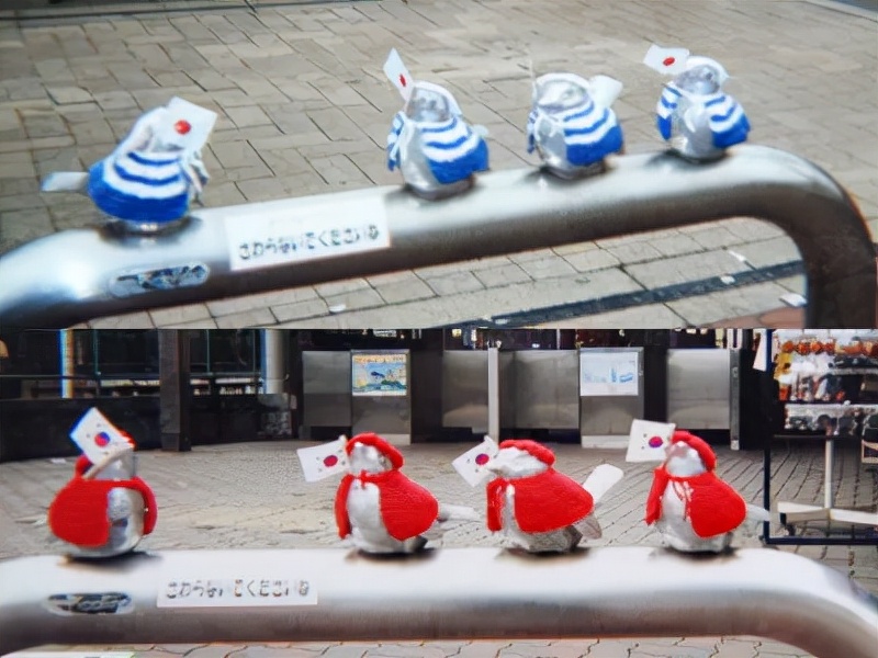 害怕小鸟受凉，有人悄悄为它们织了22年的毛衣