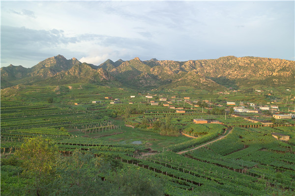 昌黎县城墙老照片俯瞰,秦皇岛抗战遗址