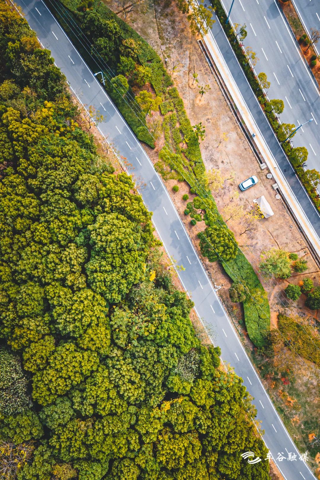 散步、慢跑、骑行……快来打卡车谷这些“高颜值”绿道