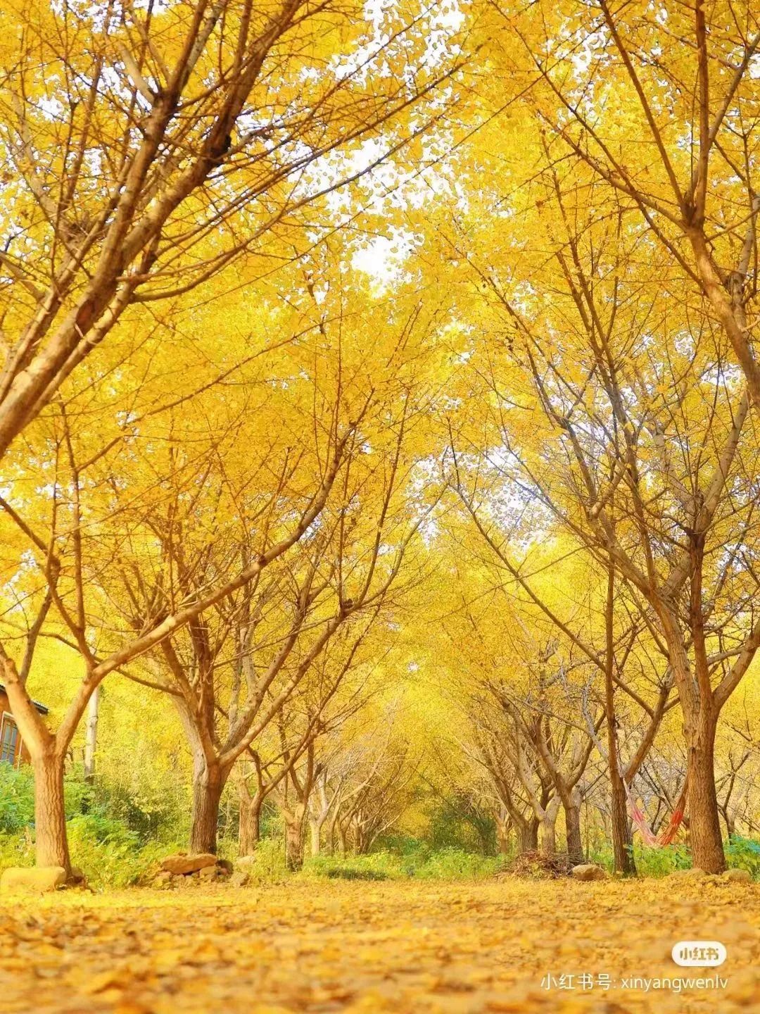 信阳南湾湖一日游详细攻略,信阳三日游攻略路线