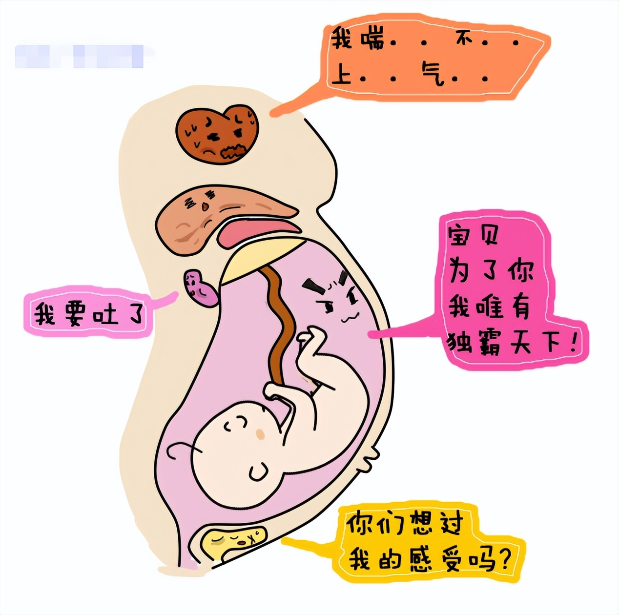 十个孕妇九个便秘,会便秘的孕妇吃什么钙片