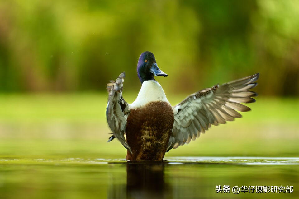 尼康z9详细视频评测,尼康z9全方位测评