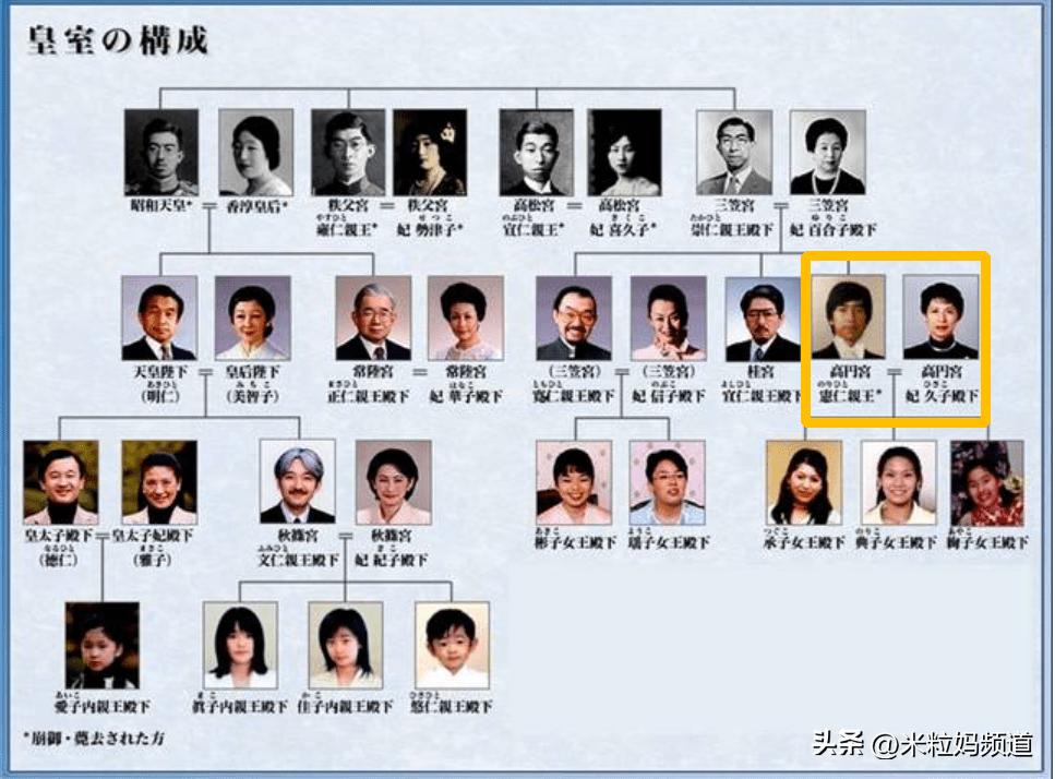 闪婚后她成了百亿豪门太太,闪婚的她竟成了总裁夫人