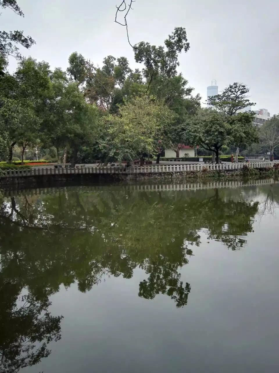 深圳美景荔枝公园,荔枝公园位于福田和罗湖交汇处