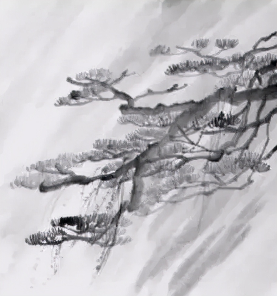 松树复杂画法,松树的十种画法