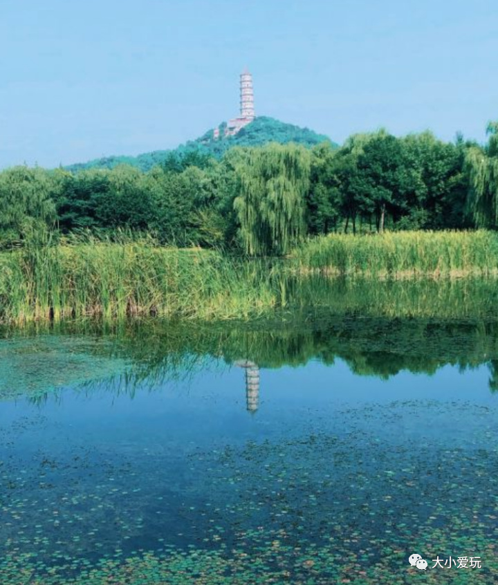 北京赏秋打卡地银杏大道,北京10条最值得打卡赏红叶线路