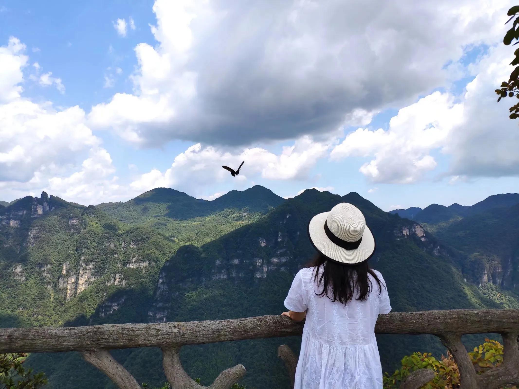 柴埠溪大峡谷费用,柴埠溪大峡谷风景区套票