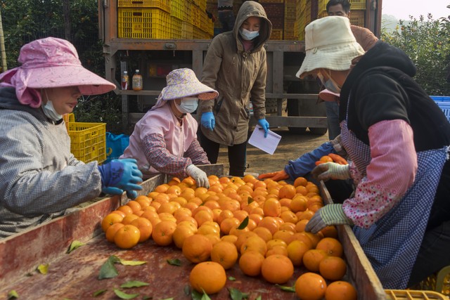 南宁的新南北方饮食差异,一个北方人的印象