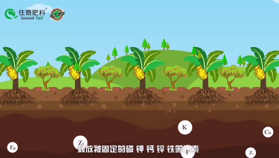 住商肥料所含成分,住商肥料助力精品农业