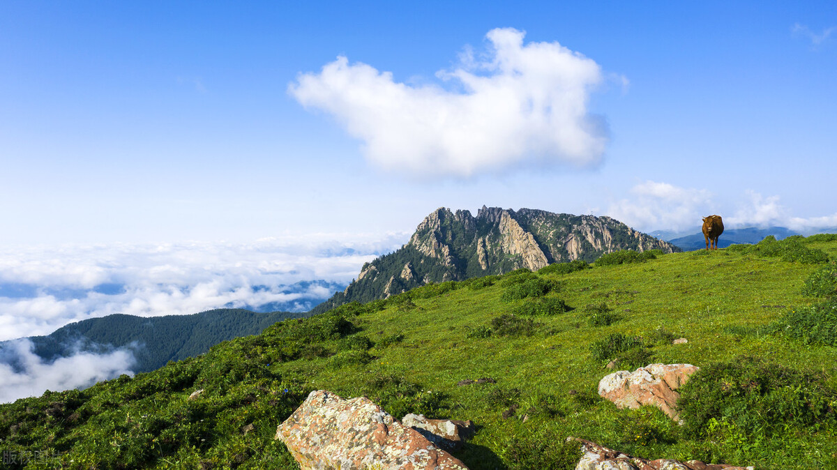 山西忻州神达能源有限公司,山西忻州旅游景点大全