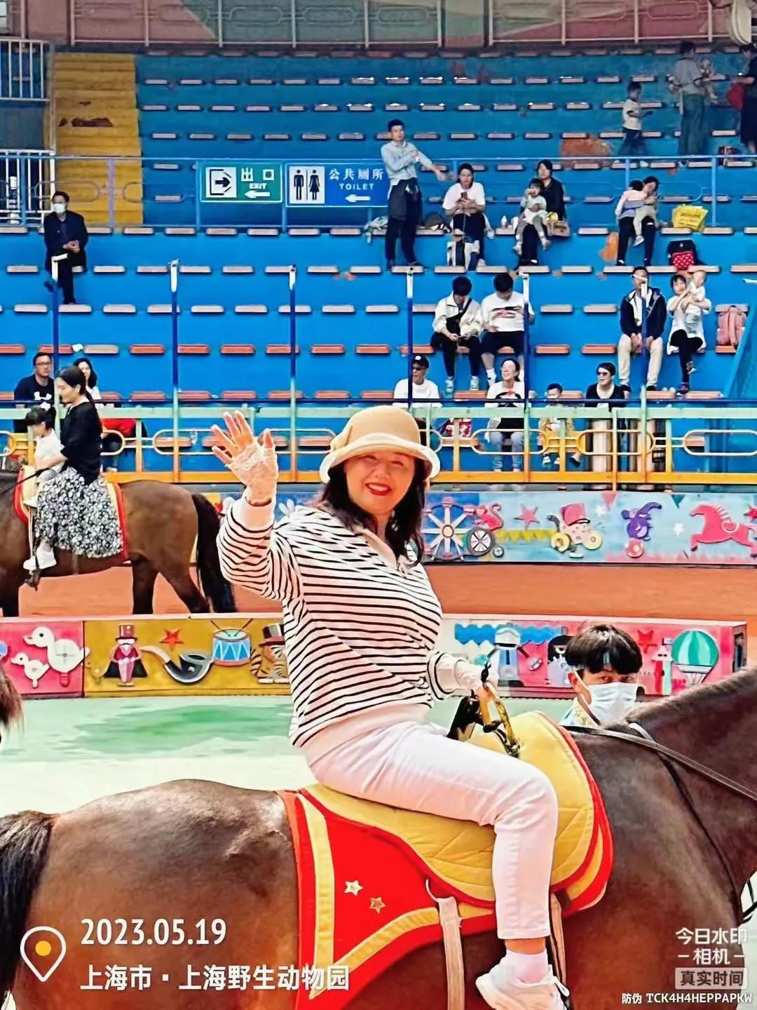 上海野生动物园和上海动物园,上海野生动物园过年营业时间