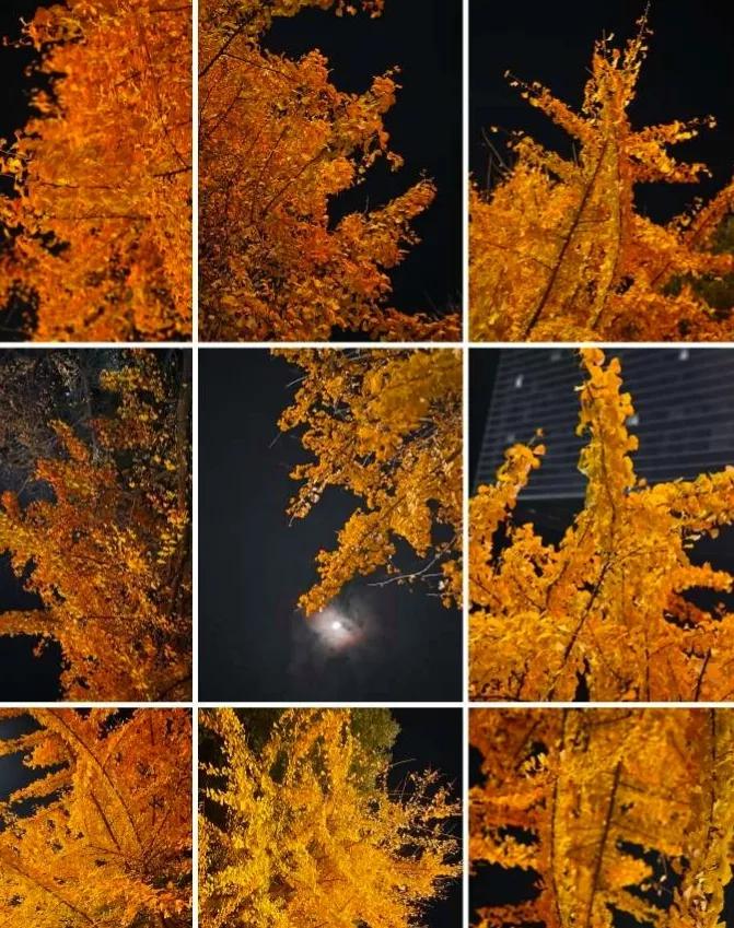 怎样忘掉一个喜欢了很久的男生,喜欢一个人很久了该怎么忘掉他