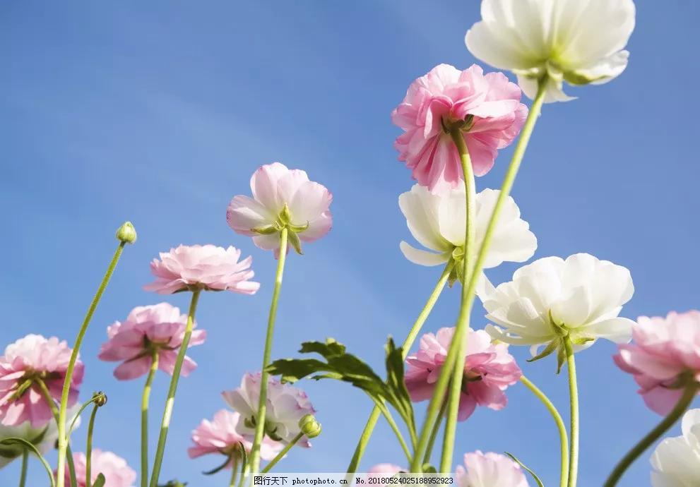 渡人先渡己最经典句子,人生感悟精辟句子渡人渡己