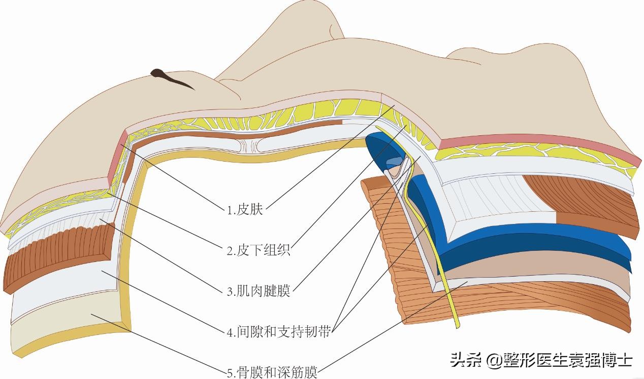 45岁脸下垂怎样锻炼变好看,45岁脸部下垂怎么补救