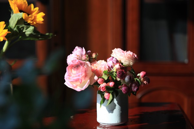 怎样才能让你有很强烈的赚钱念头,关于赚钱的建议