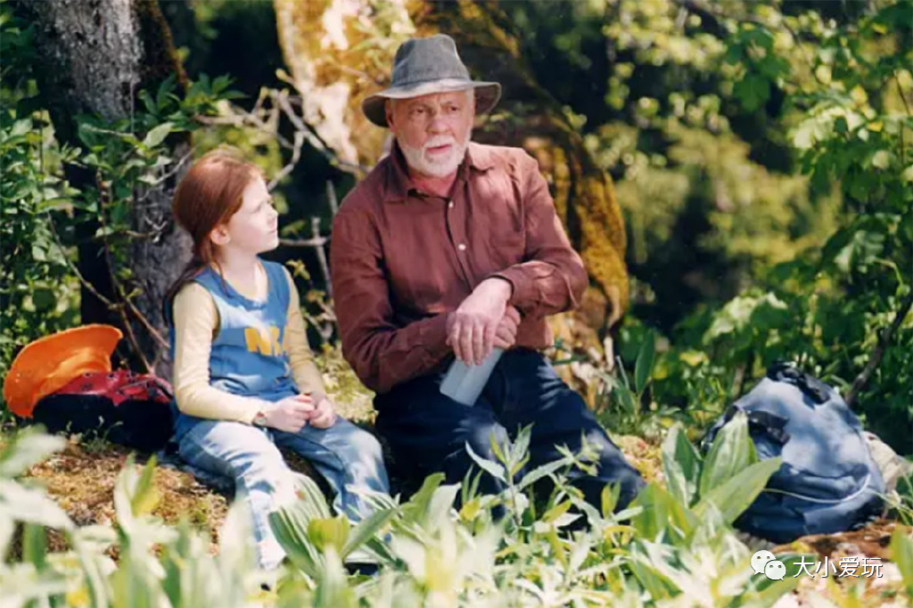 精心盘点五部冷门治愈电影,推荐几部让你笑喷的经典高分电影