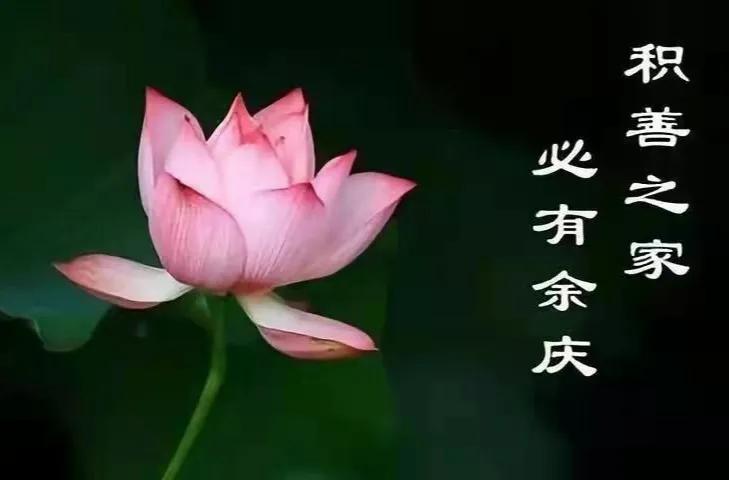 有钱的好处话语,有钱的优势