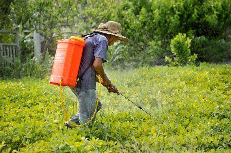 常见杀菌剂基础知识,杀菌剂根据菌种分类