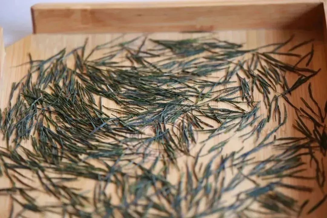 恩施玉露是绿茶还是红茶好,恩施玉露茶叶鉴别