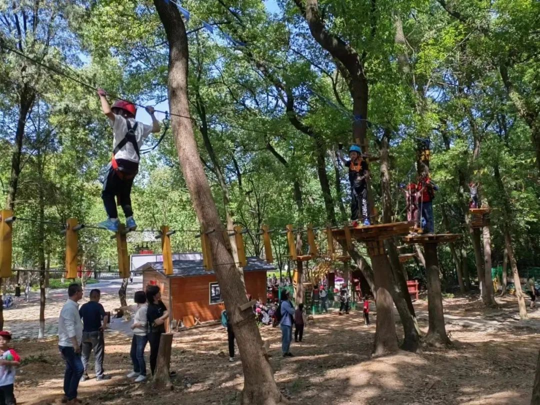 五一武汉最火爆的地方,武汉经开区免费好玩的地方