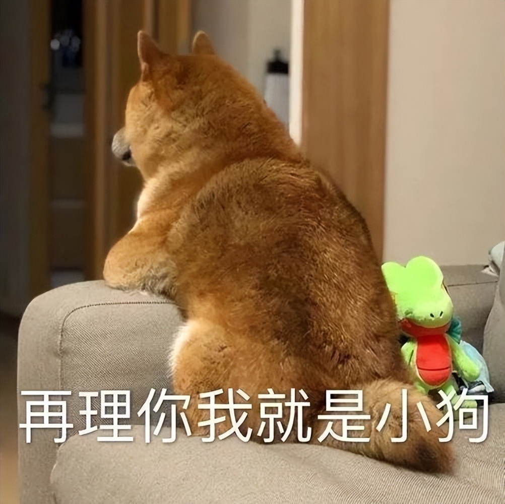 别管养什么狗，这些“忌讳”不要犯，不然它会翻脸！