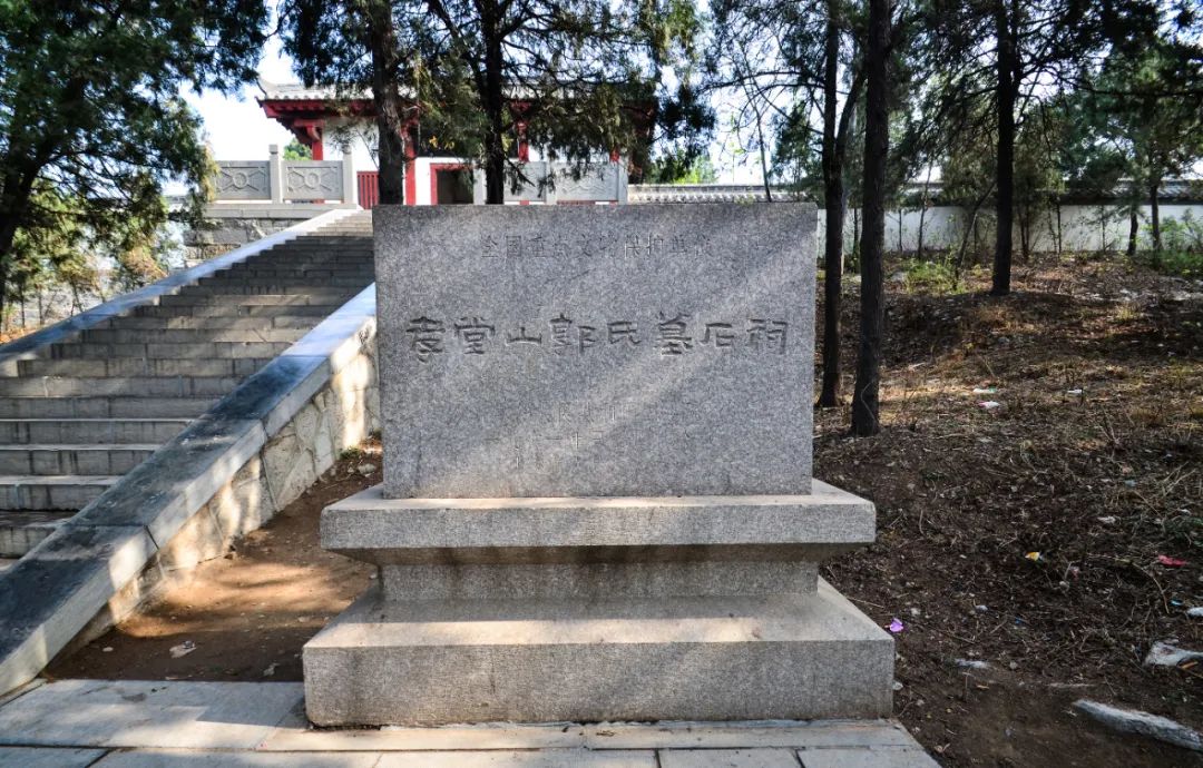 济南元素再一次火爆“出圈”！省长推介的诗意济南是什么样子的？