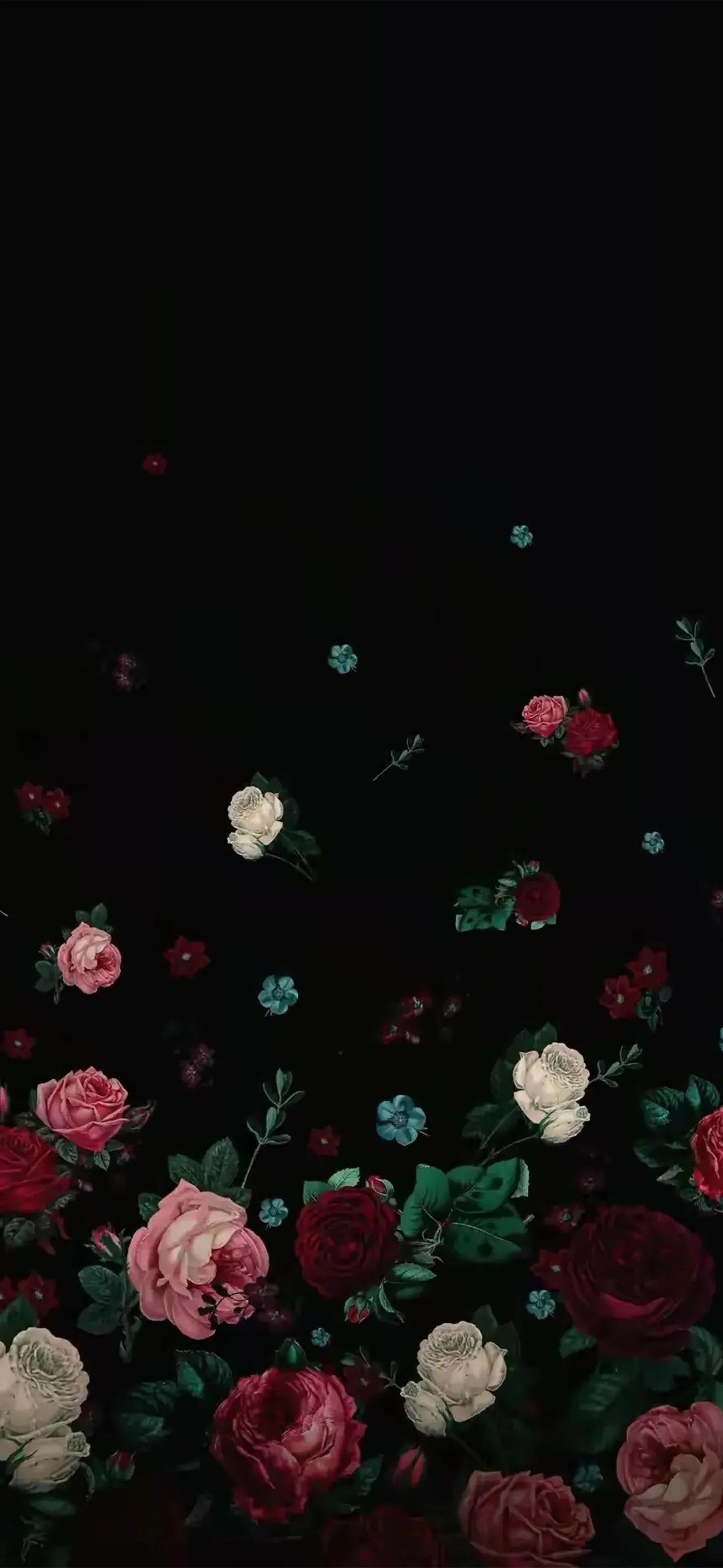 高清壁纸全面屏手机,围棋壁纸高清全面屏