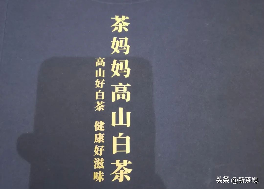 刀哥说茶普洱茶怎样审评才靠谱,刀哥说茶十问云南白茶