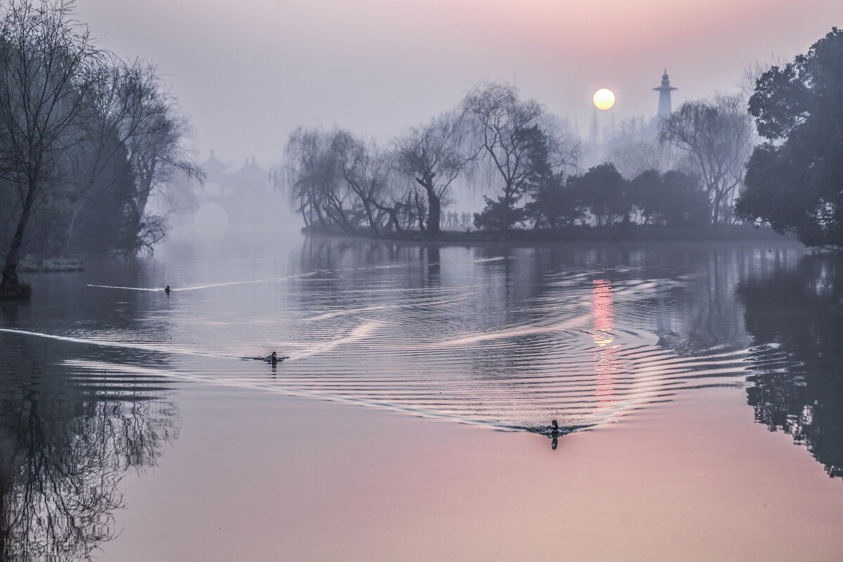 尿频尿痛吃什么中药,尿痛尿灼热中医