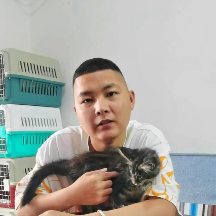 什么叫一手批发你们的猫买贵了吗？