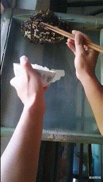 每日一笑闺蜜交了新男朋友,每日一笑之闺蜜交了新男朋友