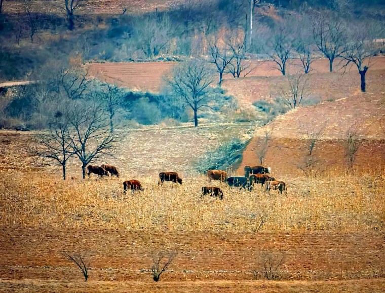 如何拍出唯美风景大片,唯美大片拍摄技巧风景