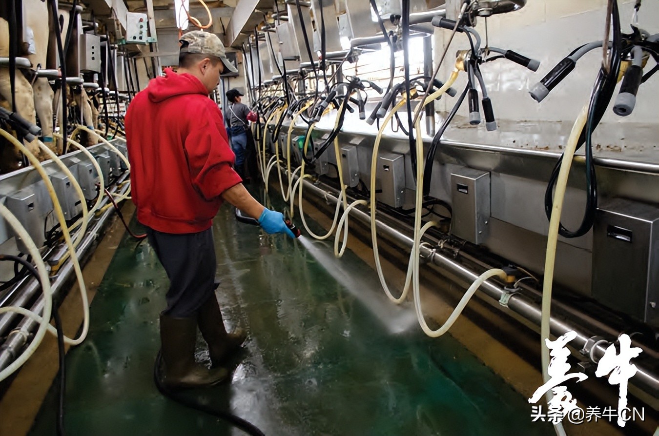 肺炎克雷伯氏菌是什么,产气克雷伯氏菌有特效药吗