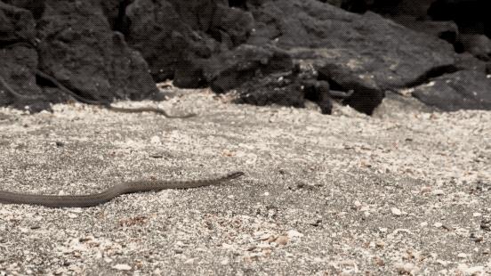 易经上坎下坎,易经关于坎