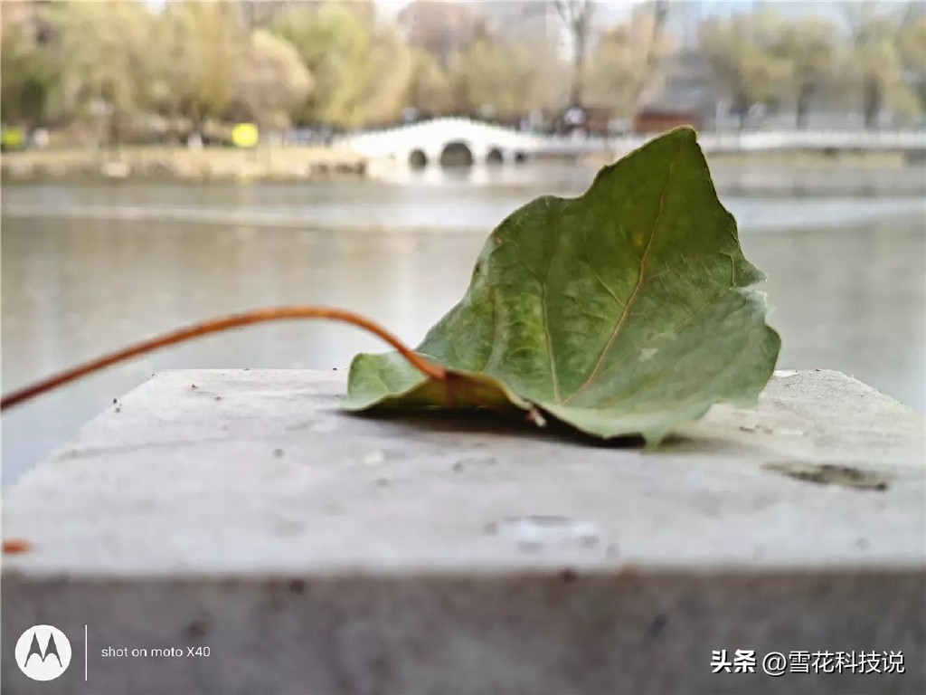 motox40实际上手体验,motox40真实缺点