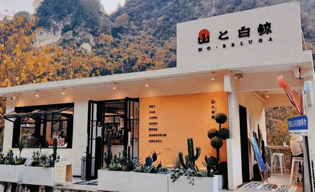 长安周边赏花,附近春季赏花攻略