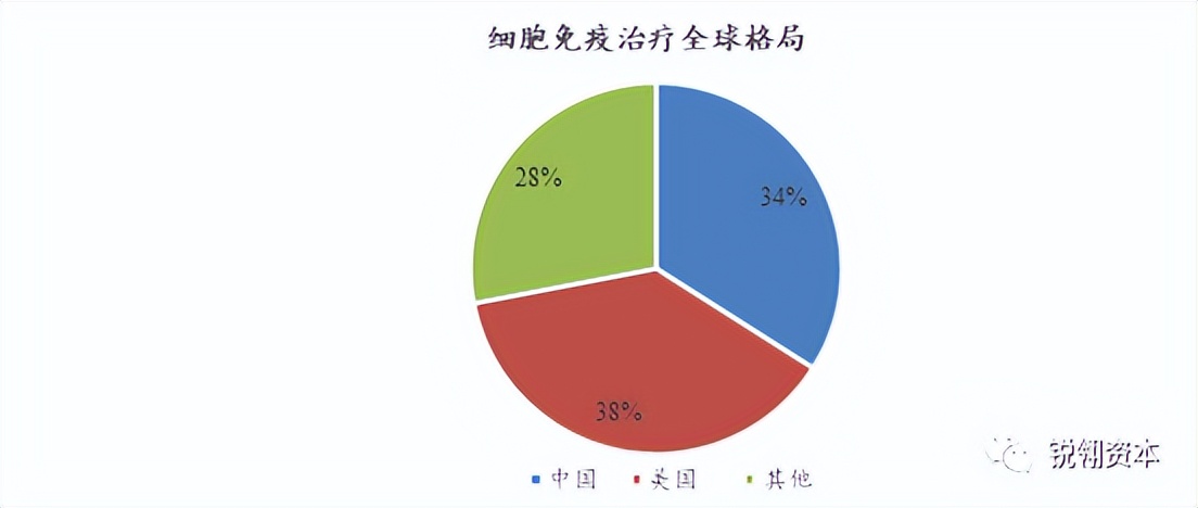 行研深度报告,行研报告范文