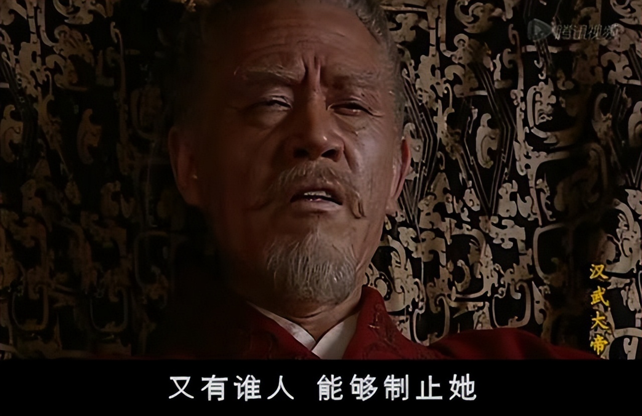 如何评价汉武帝实施的这一措施,如何评价汉武帝的罪己