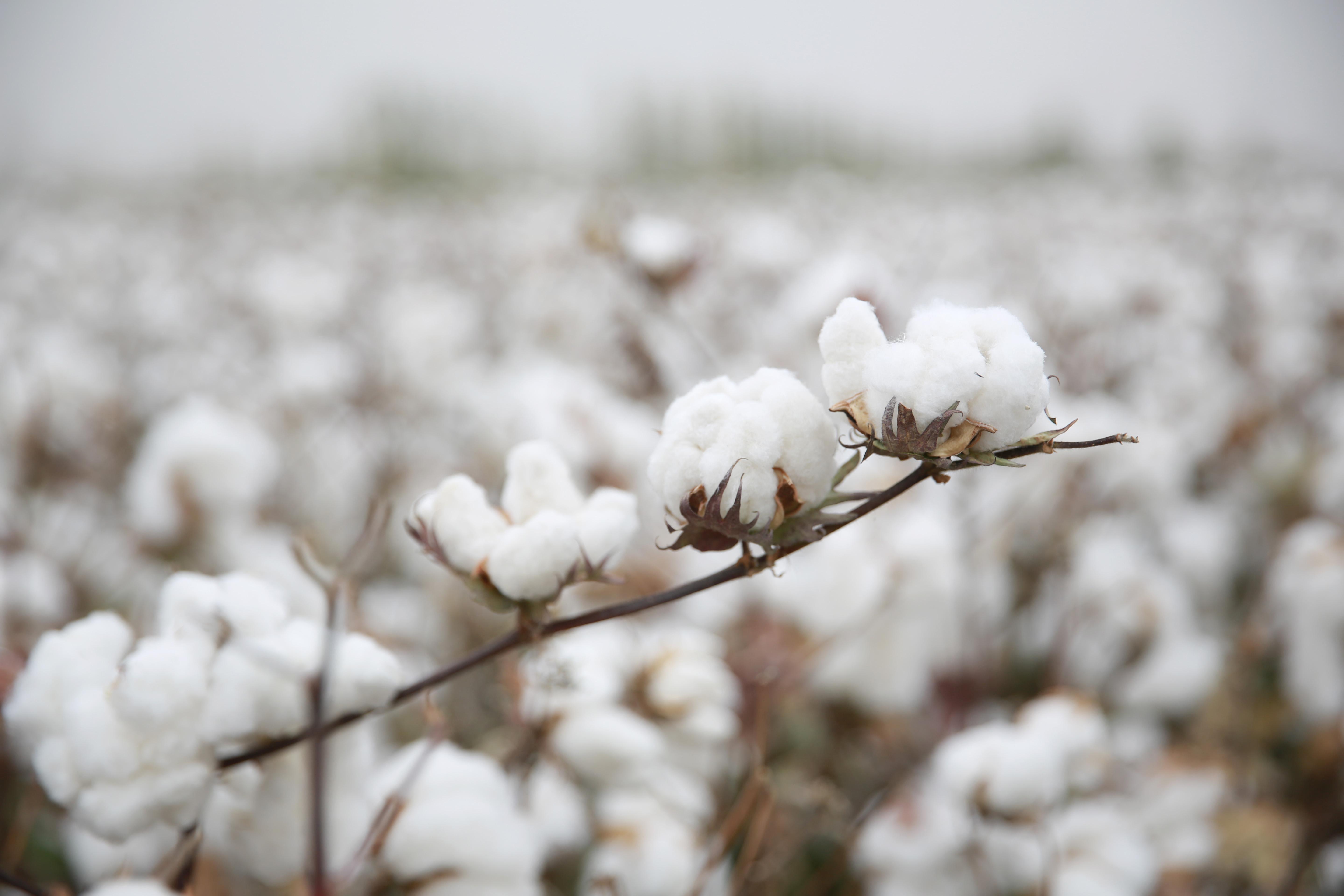 四件套7连问：被坑N多次，终于总结出了最容易被坑的7个点