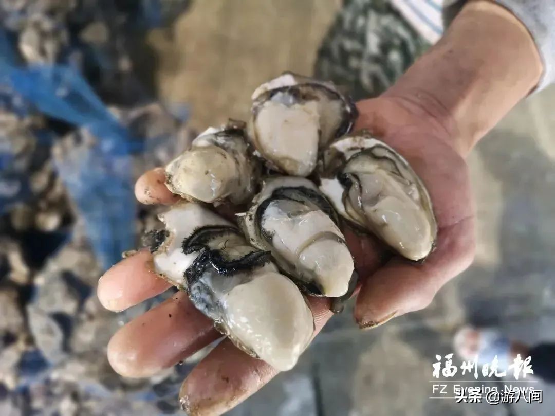 连江海边海景,连江海景推荐