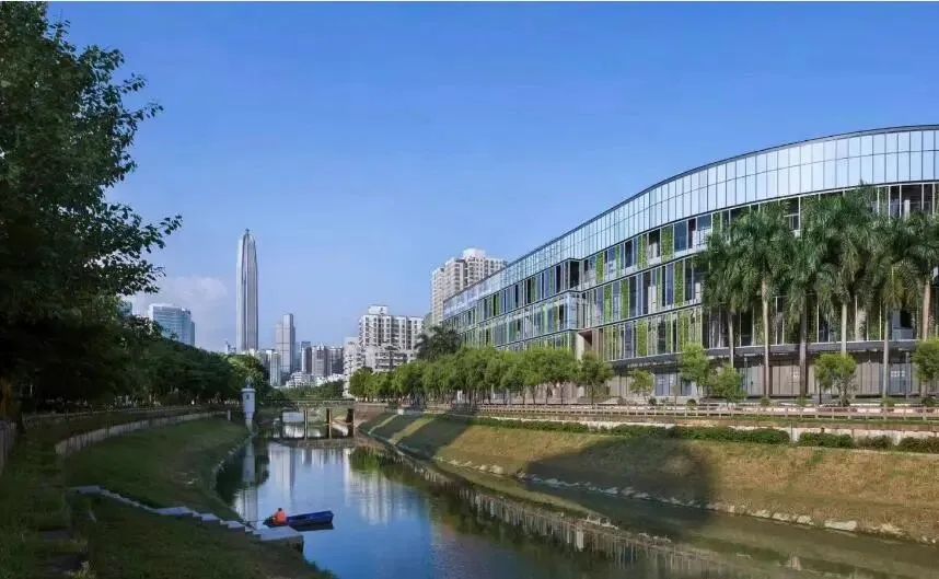 赛龙舟迎端午唐圩龙舟激情澎湃,赛龙舟迎端午江口龙舟赛