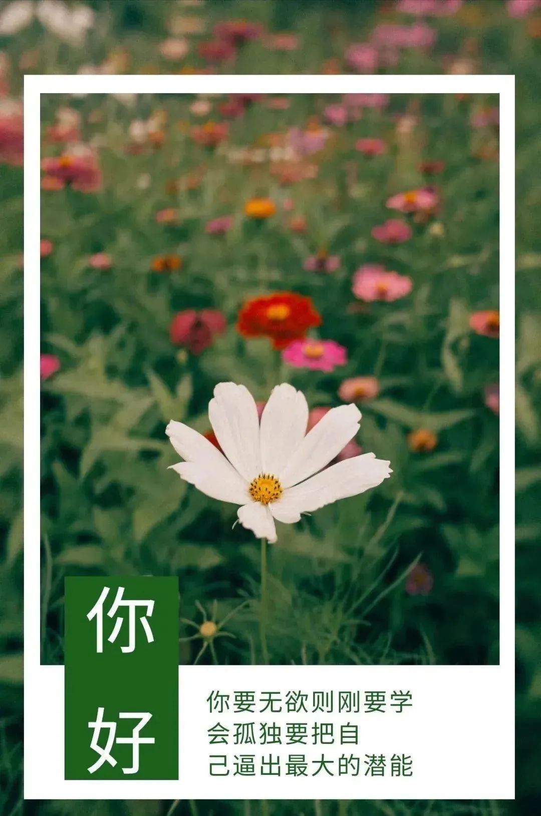 早安心语励志语录精辟,早安心语励志语录经典短句图片