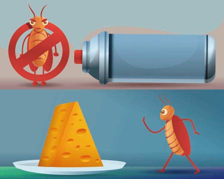 四害科普一张图,四害的最佳处理方法