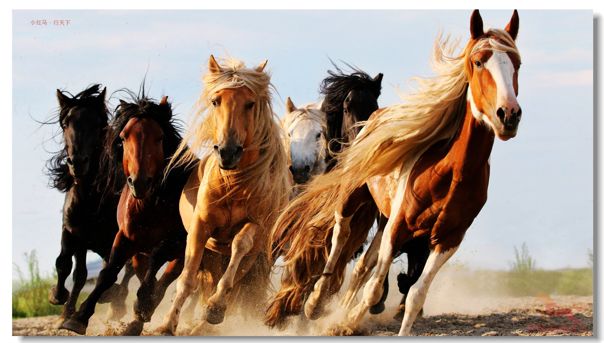 劳动者伟大筑梦者光荣：TRUEMAX信瑞重工庆祝五一国际劳动节